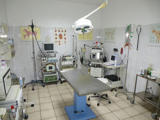 OP Raum - Tierarztpraxis Dr. Martin Schmidt in Neu-Ulm