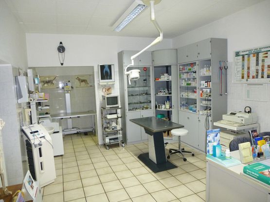 Untersuchungsraum - Tierarztpraxis Dr. Martin Schmidt in Neu-Ulm